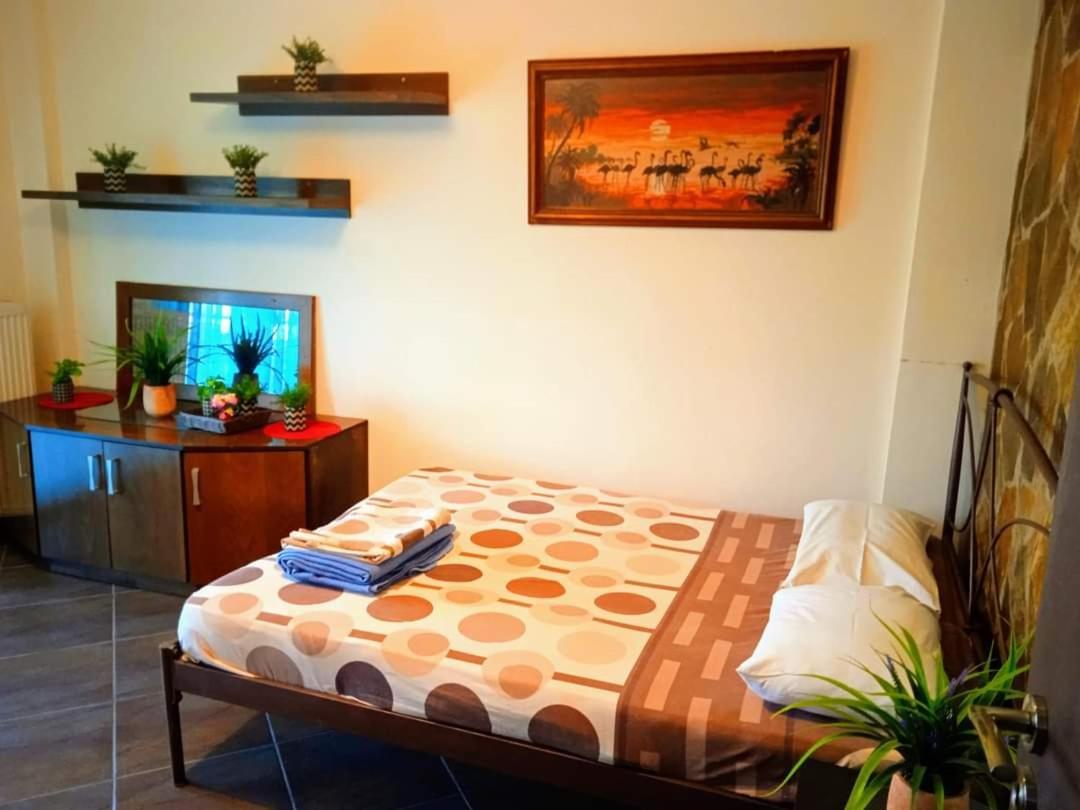 Blue Moon Accommodation ネア・ミカニオーナ エクステリア 写真