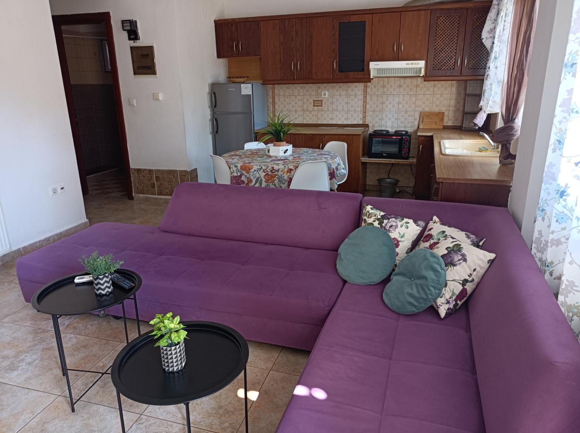 Blue Moon Accommodation ネア・ミカニオーナ エクステリア 写真